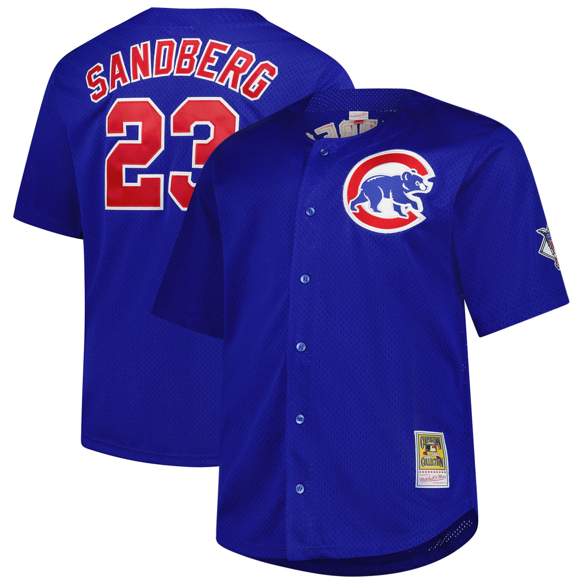 Men's Chicago Cubs Ryne Sandberg Mitchell & Ness Royal Big & Tall Cooperstown Mesh Batting Practice Jersey - 2