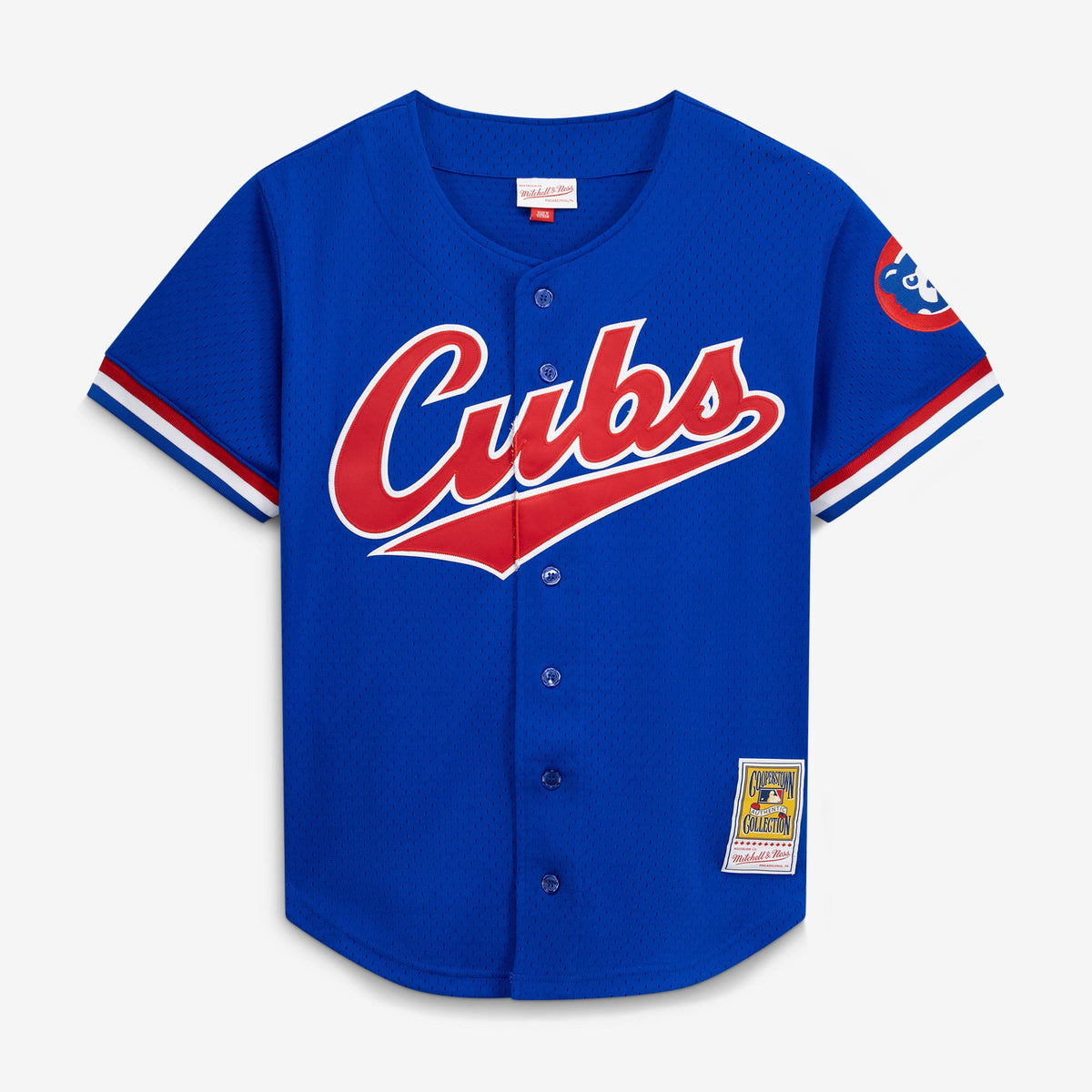 Men's Chicago Cubs Ryne Sandberg Mitchell & Ness Royal Cooperstown Collection 1996 Mesh Batting Practice Button-Up Jersey