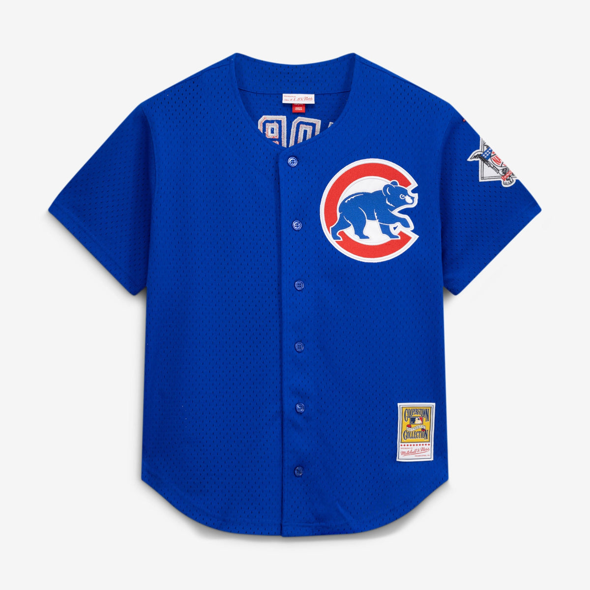 Men's Chicago Cubs Ryne Sandberg Mitchell & Ness Royal Cooperstown Collection 1997 Mesh Batting Practice Button-Up Jersey - 2